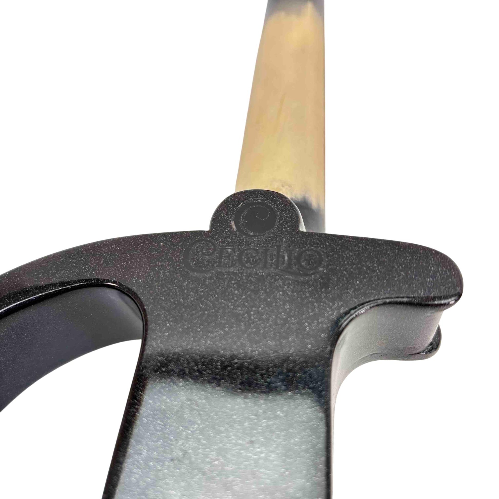 Đàn Violin Điện Celicio HVPV30