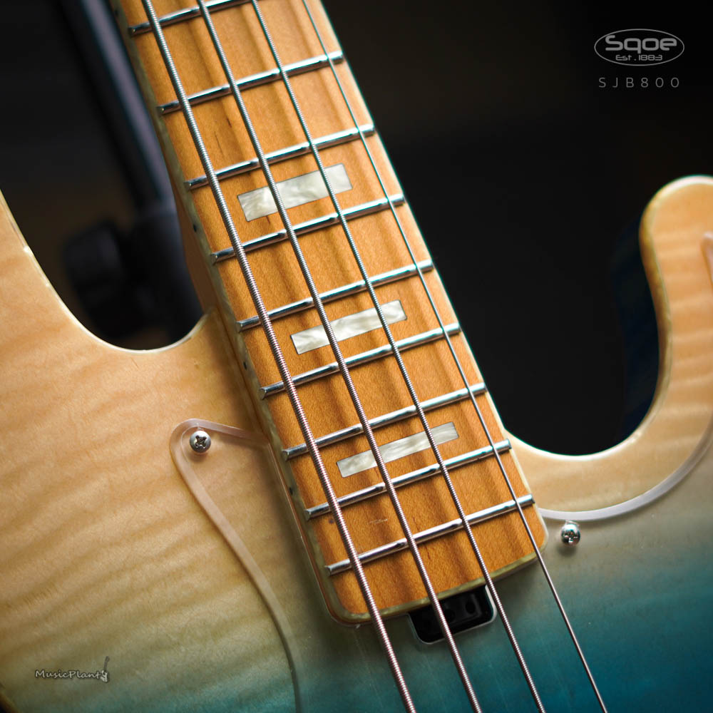 Đàn Guitar Bass Sqoe SJB800 SS Electric Guitar, Canadian Roasted Maple Fingerboard, Transparent Black