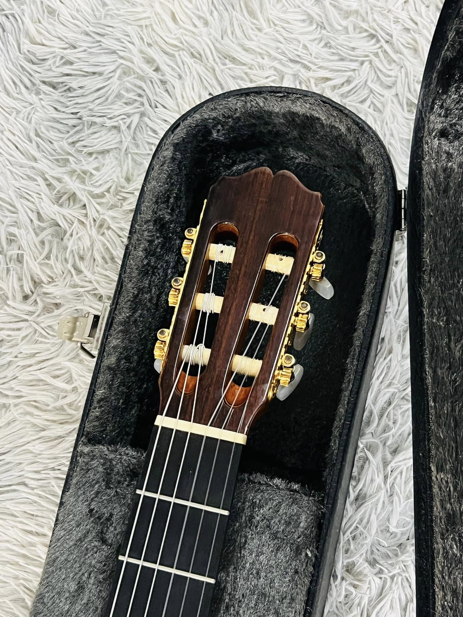 Đàn Guitar Classic Takamine PT310