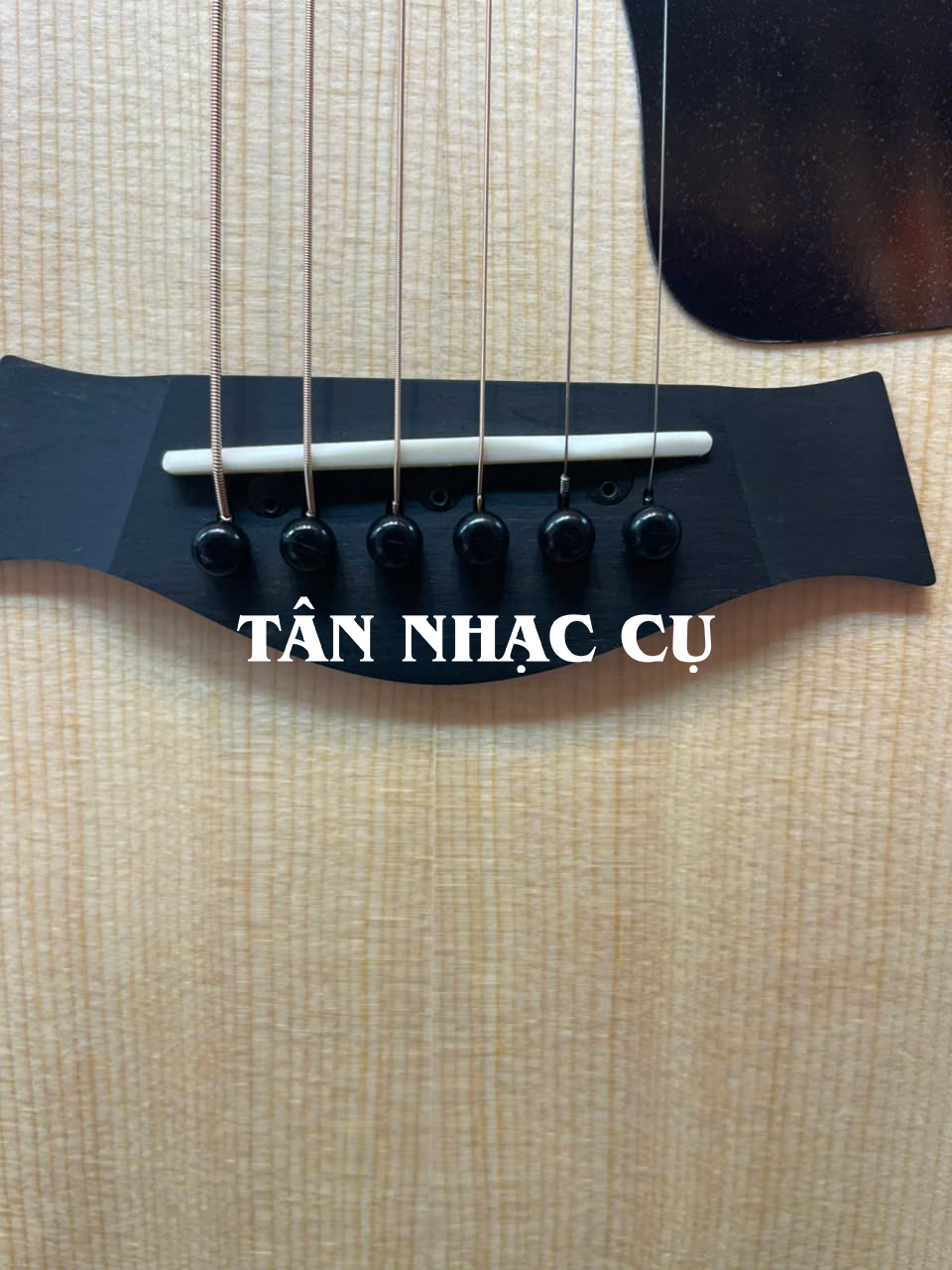 Taylor GS Mini E Rosewood