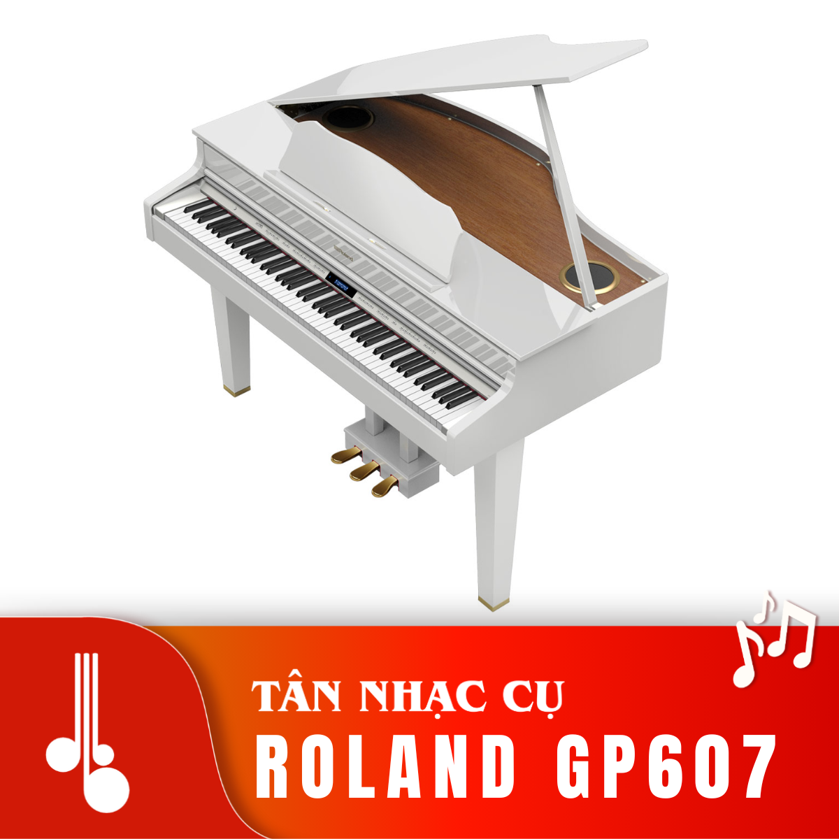 Roland GP607 Tân Nhạc Cụ