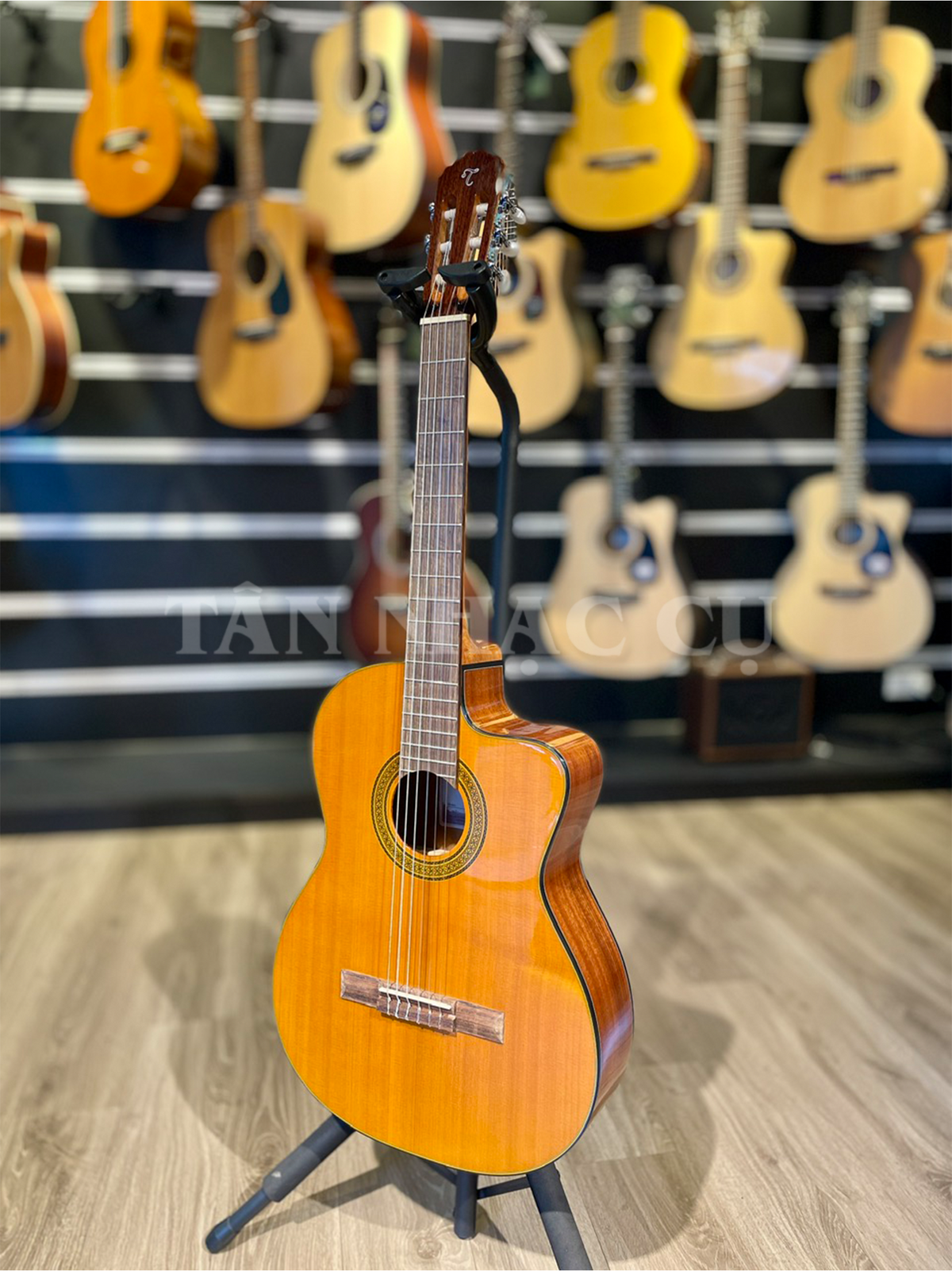 Takamine GC3CE