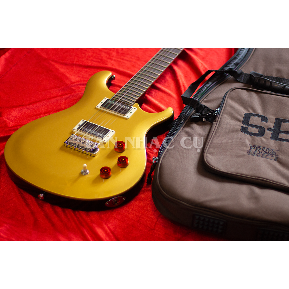 Đàn Guitar Điện PRS SE DGT David Grissom Signature HH, Rosewood Fingerboard, Gold Top