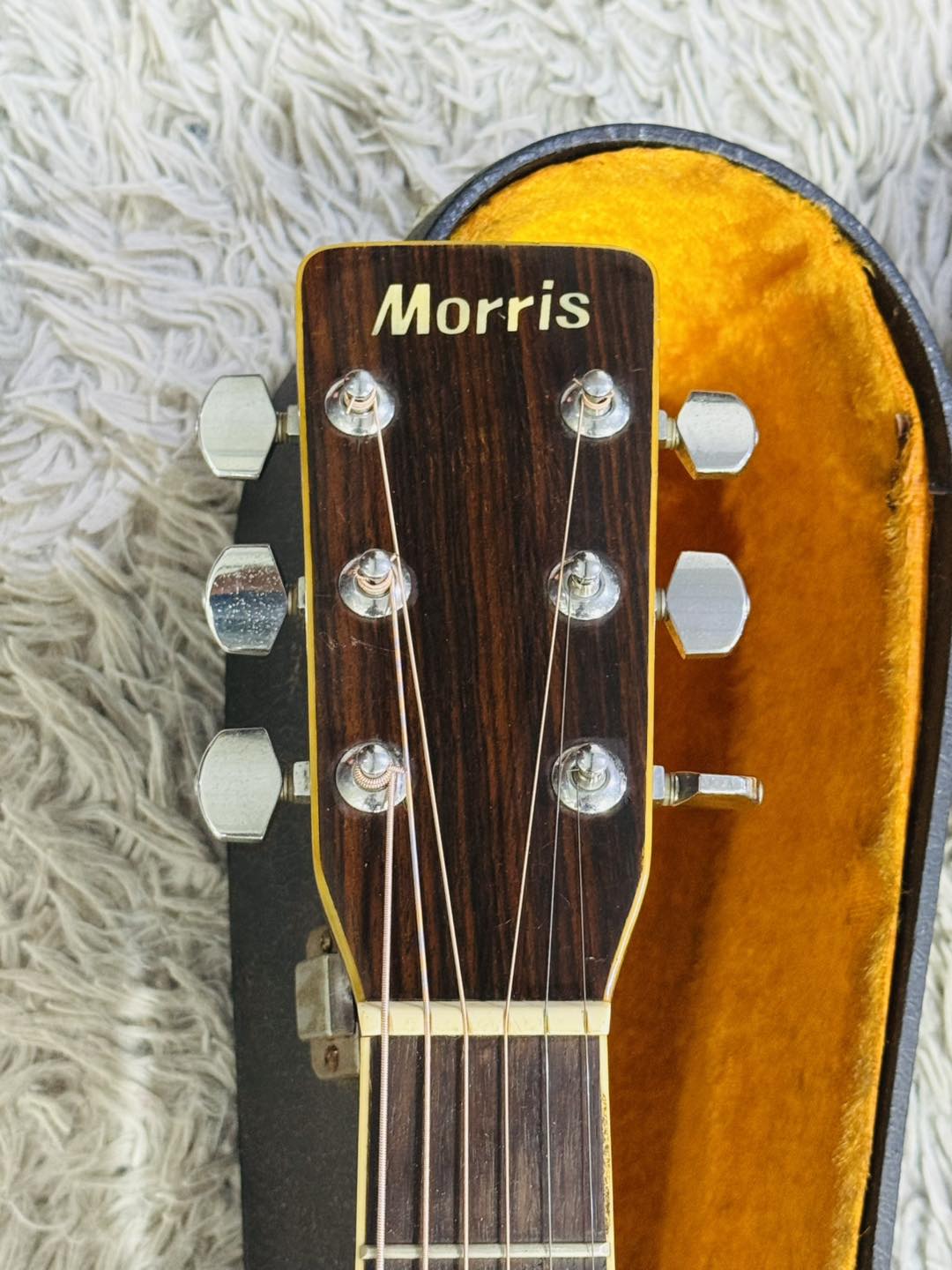 Đàn Guitar Acoustic Morris W30 1975