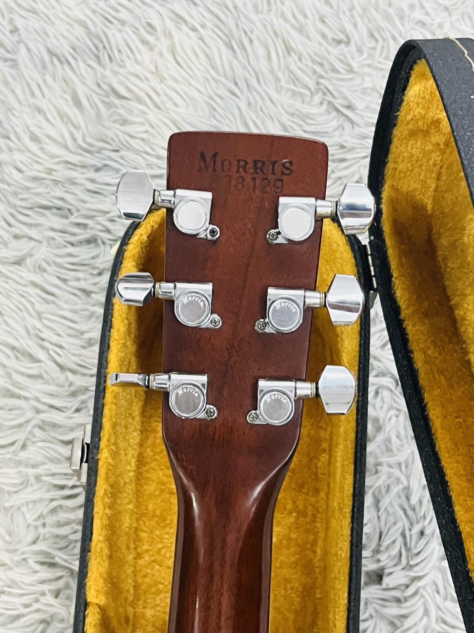 Đàn Guitar Acoustic Morris W40 1981