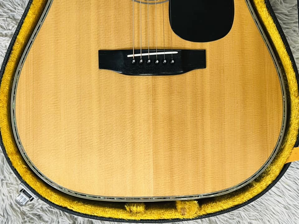 Đàn Guitar Acoustic Morris W80