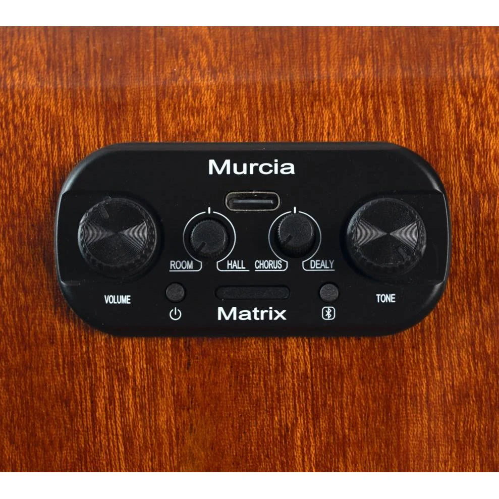 Đàn Guitar Acoustic Murcia AS10CE