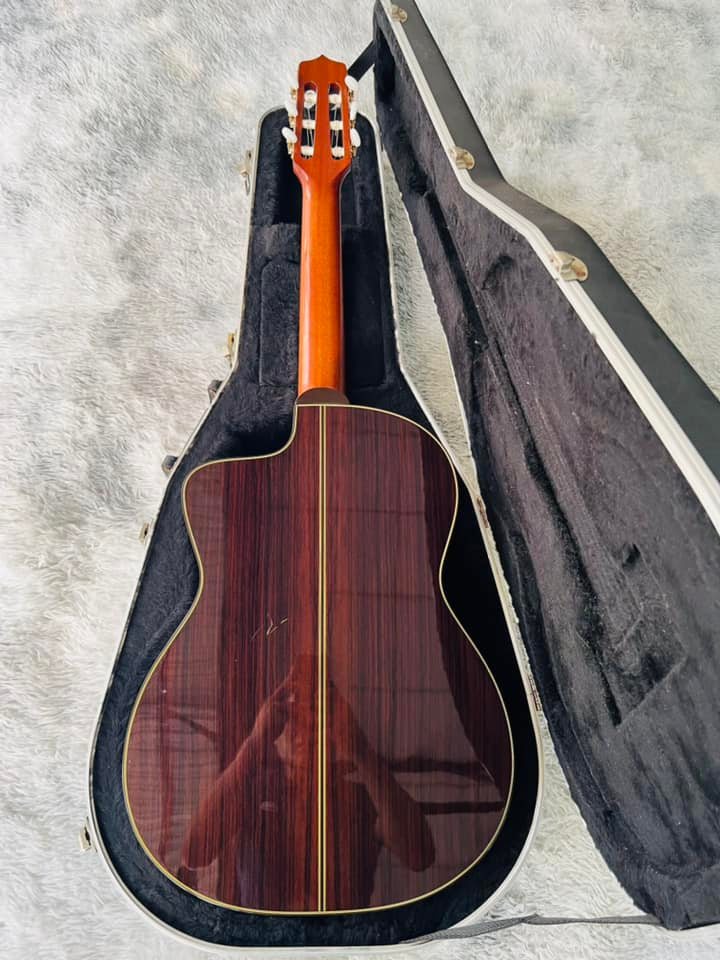 Đàn Guitar Classic Takamine E30
