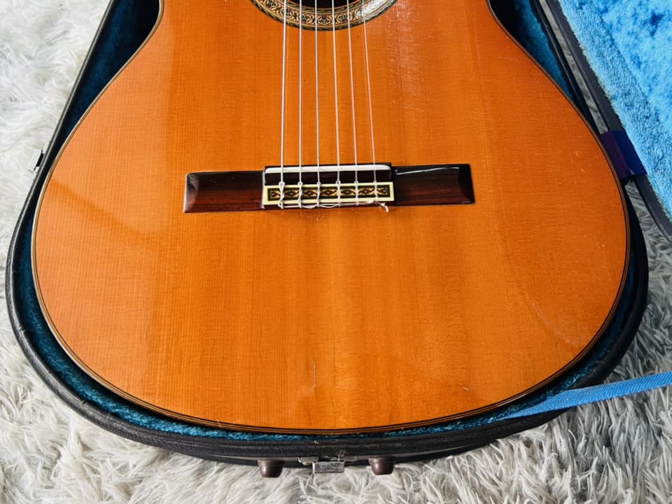 Đàn Guitar Classic Yamaha GC6D