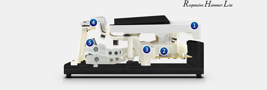 Đàn Piano Điện Kawai CX102