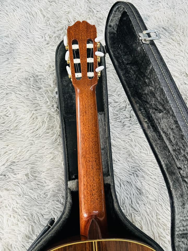 Đàn Guitar Classic Takamine No5