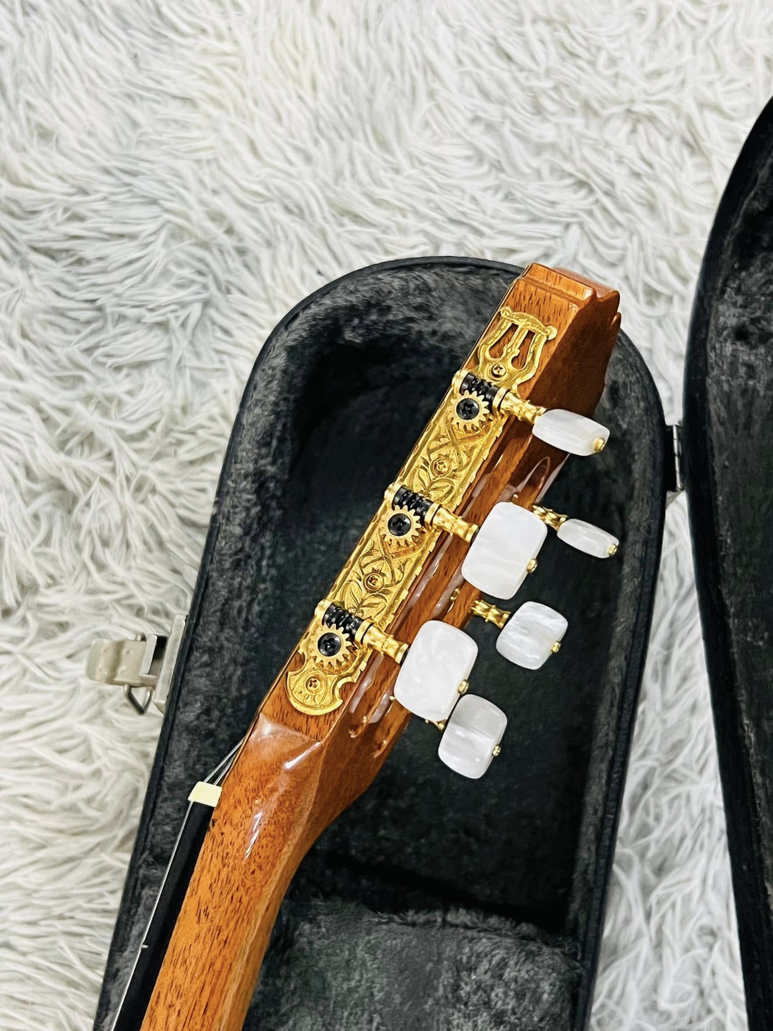 Đàn Guitar Classic Takamine PT310