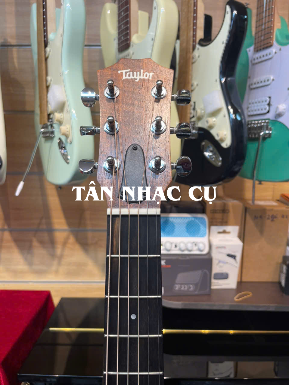 Taylor GS Mini E Rosewood