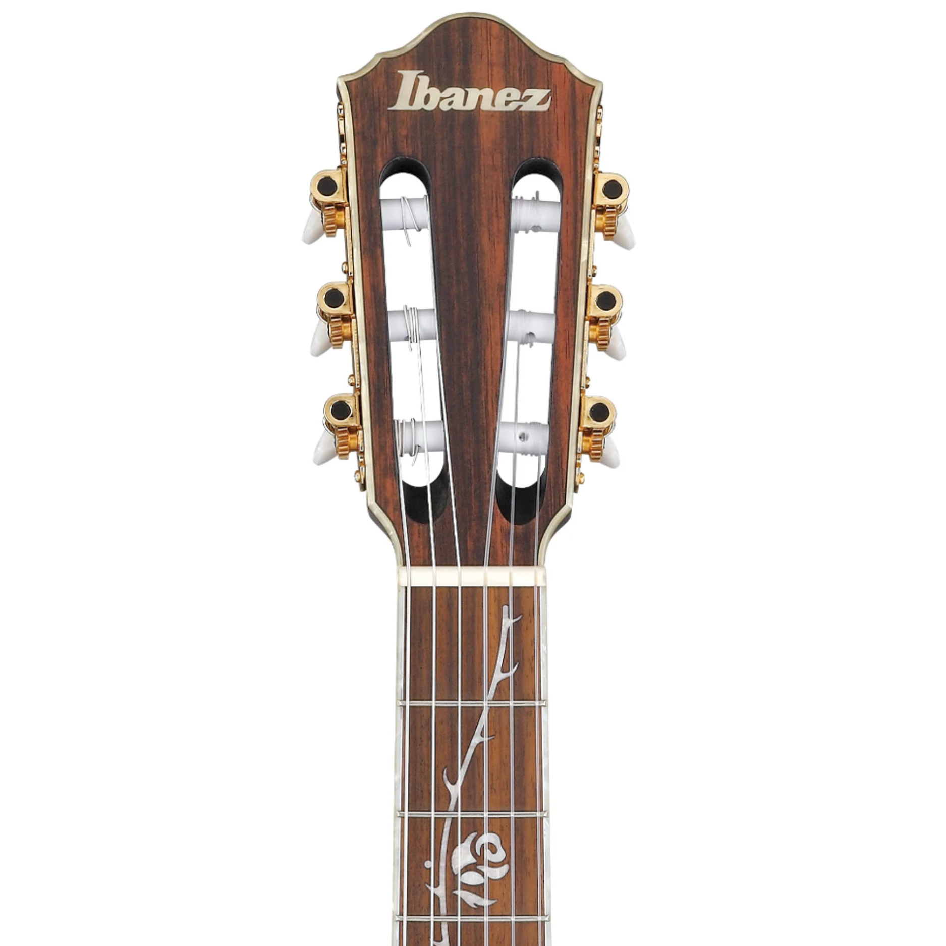 Đàn Guitar Classic Ibanez TOD10N-TKF Tim Henson Signature Nylon String Guitar, Transparent Black Flat
