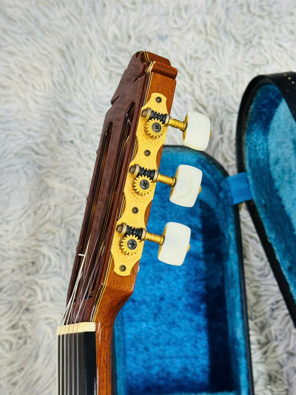 Đàn Guitar Classic Yamaha GC-31