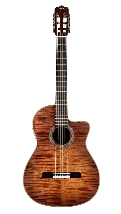 Đàn Guitar Classic Cordoba Fusion 12 Cinnamon Burst