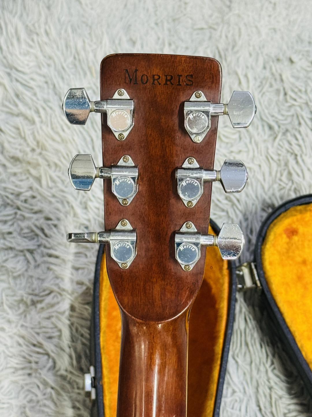 Đàn Guitar Acoustic Morris W30 1975