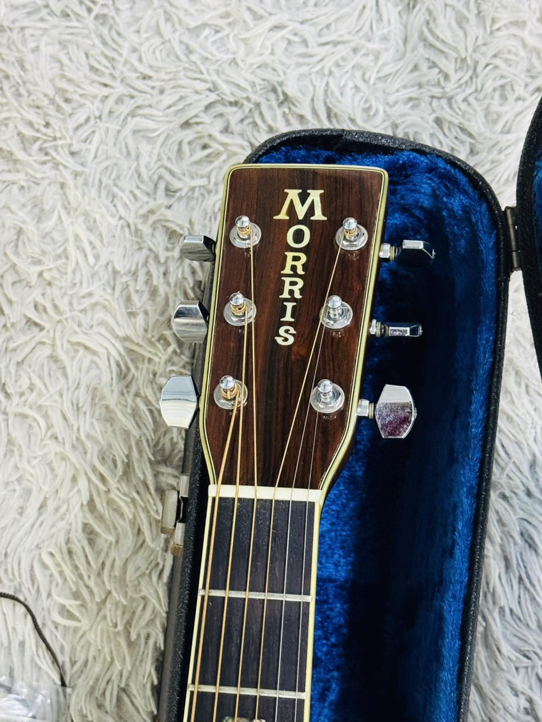 Đàn Guitar Acoustic Morris W40 1985
