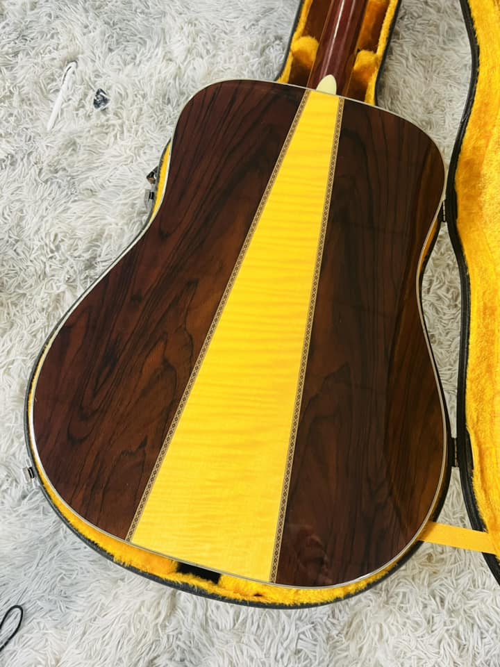 Đàn Guitar Acoustic Morris W50