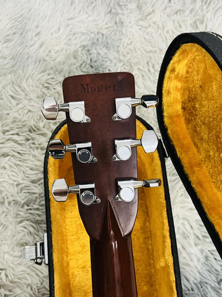 Đàn Guitar Acoustic Morris W80
