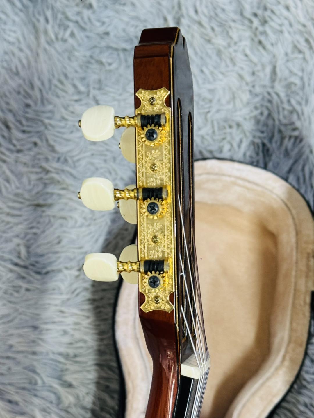 Đàn Guitar Classic Kazuo Yairi CE1