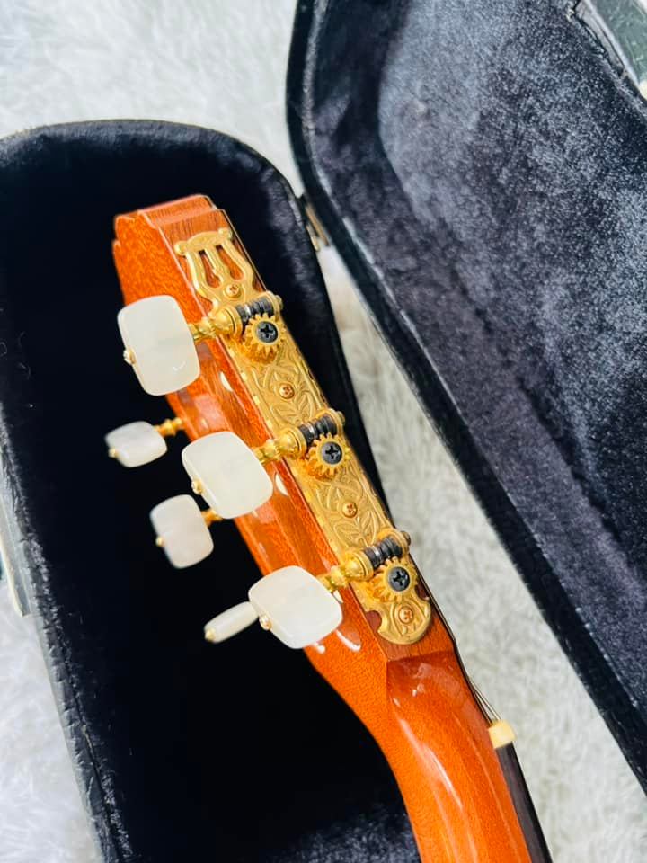 Đàn Guitar Classic Takamine DMP316