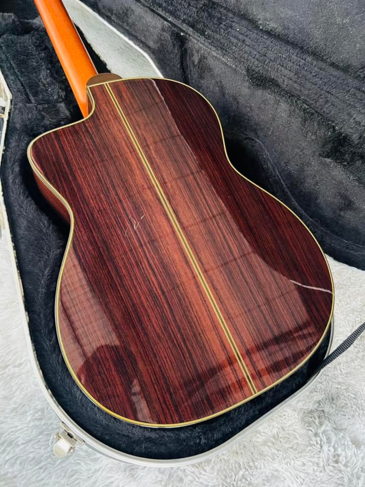 Đàn Guitar Classic Takamine E30