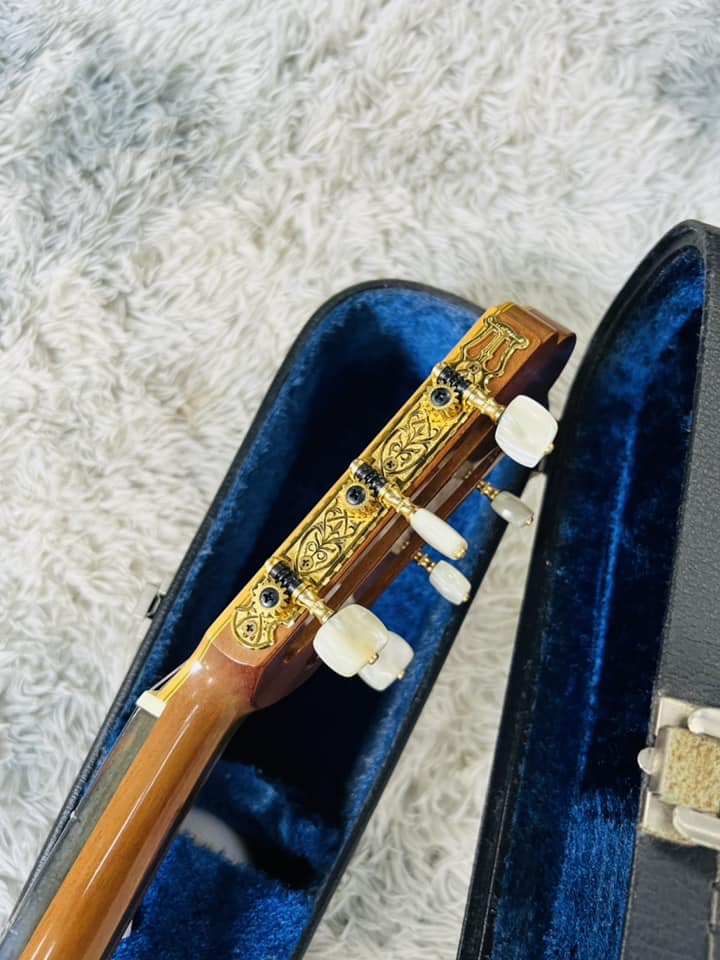 Đàn Guitar Classic Wataru Tsuji S3