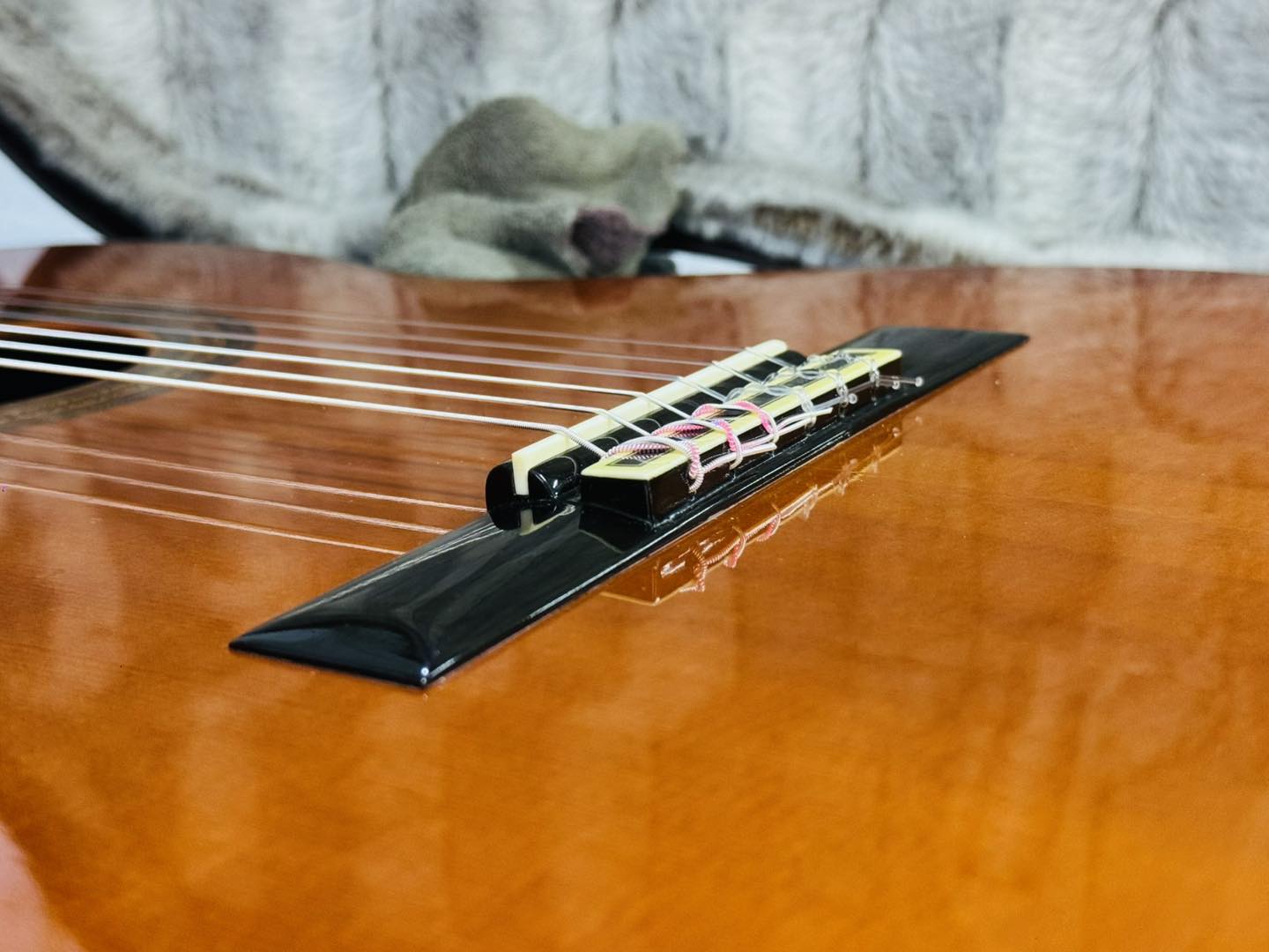 Đàn Guitar Classic Yamaha GC60