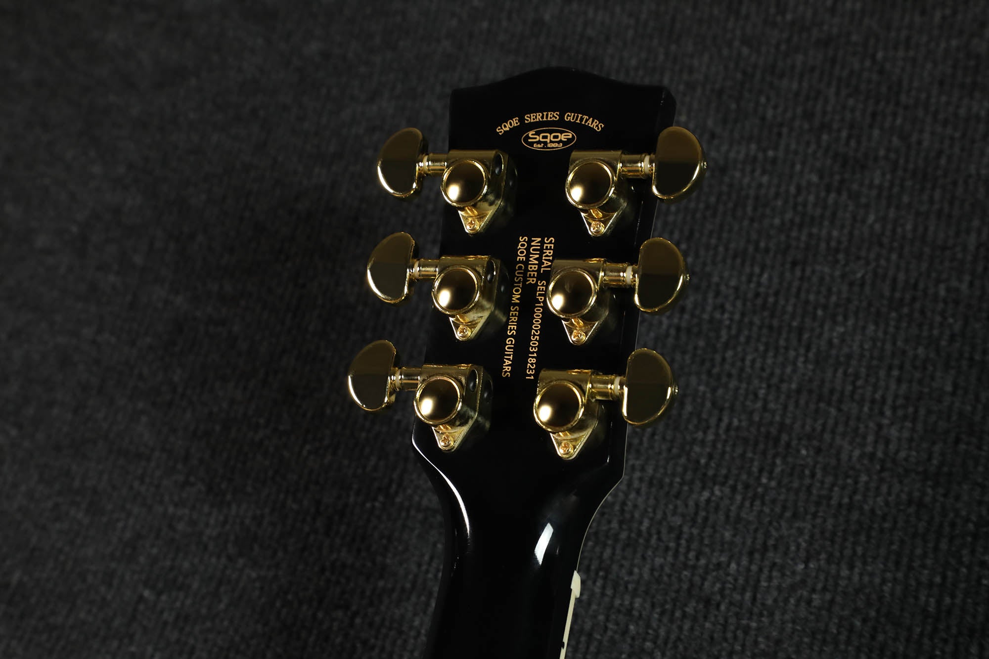 Đàn Guitar Điện Sqoe SELP300 HH Electric Guitar w/Case, Black