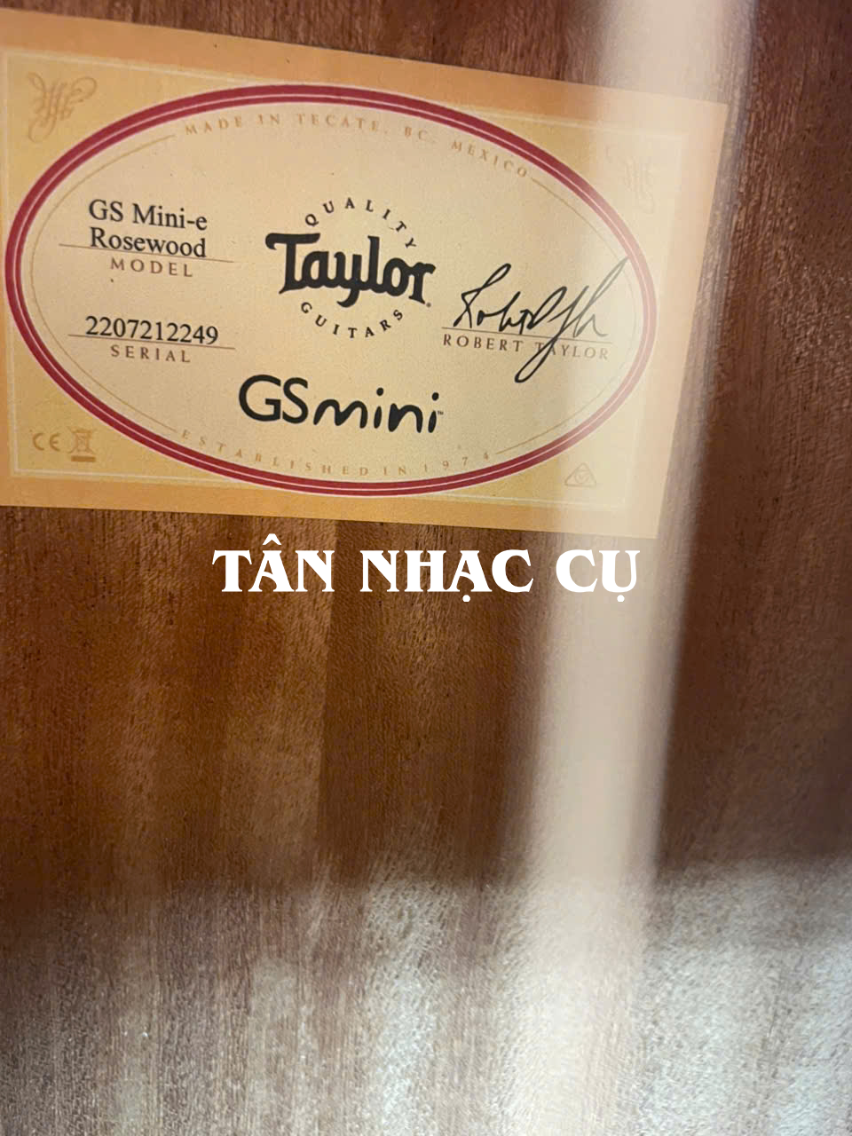 Taylor GS Mini E Rosewood