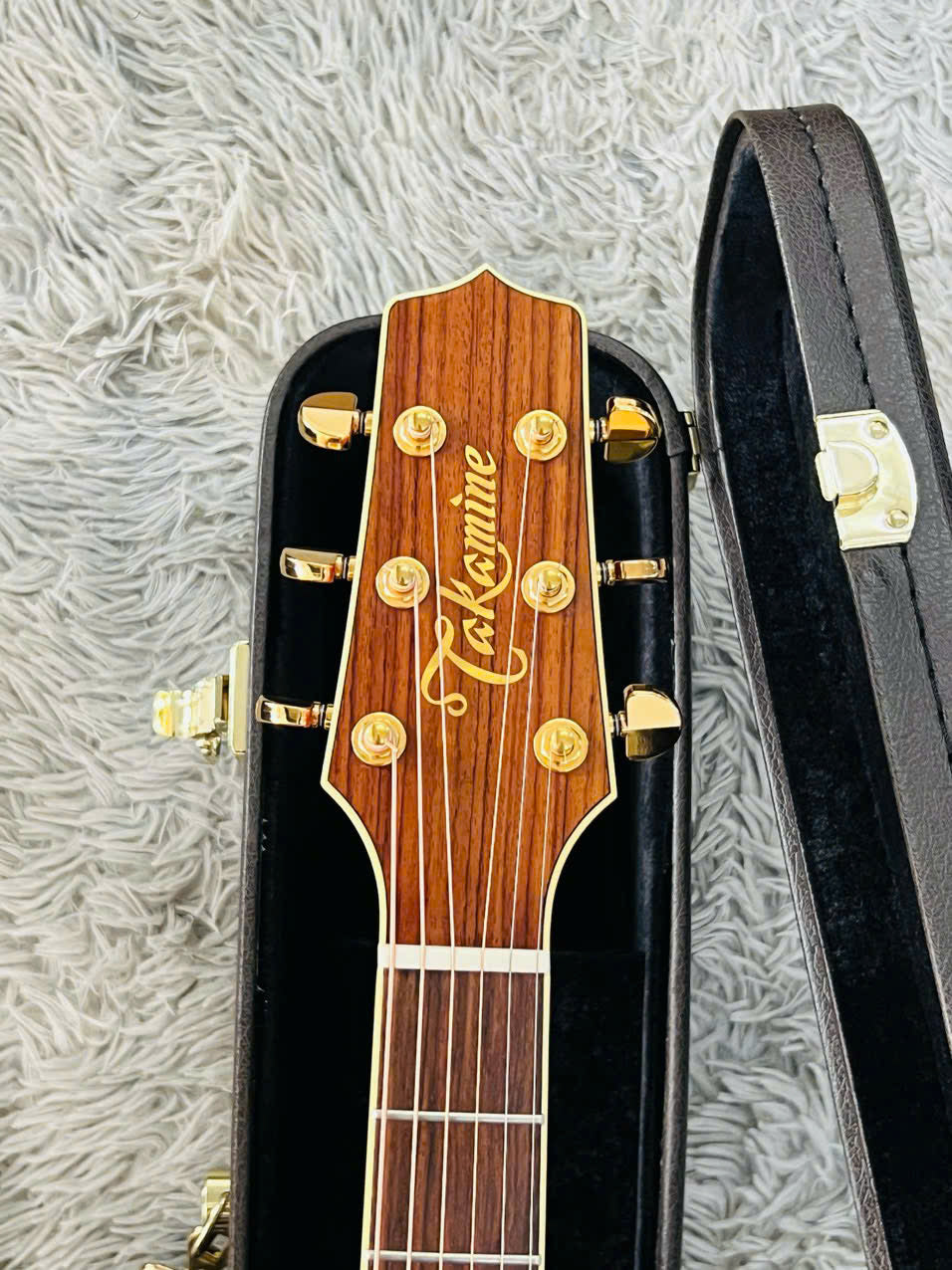Đàn Guitar Acoustic Takamine TDP531KC N