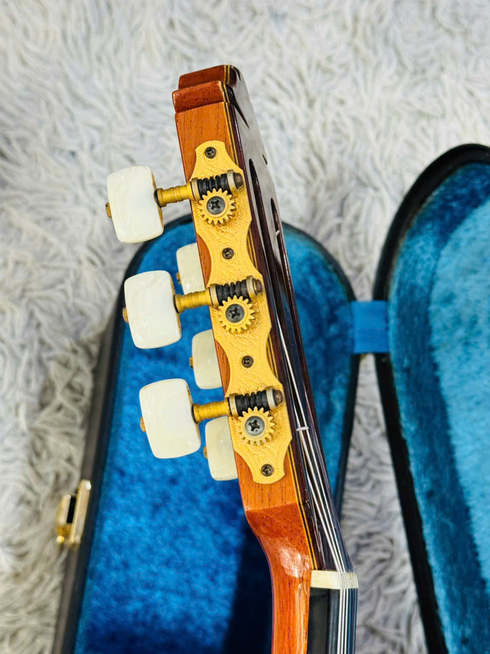Đàn Guitar Classic Yamaha GC-31