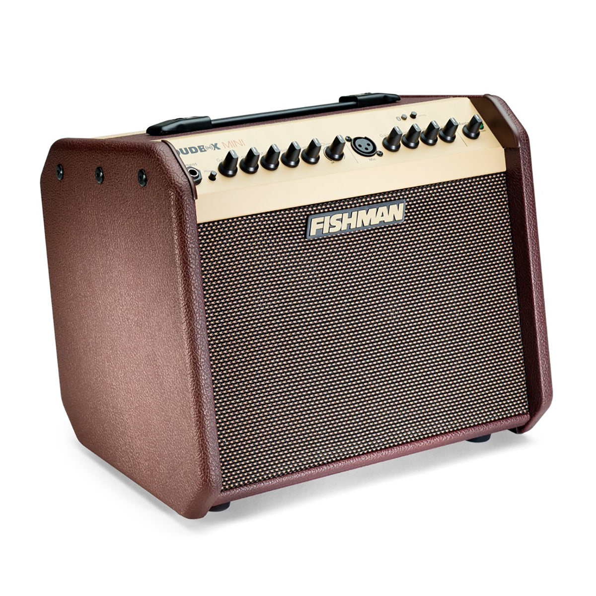 Amplifier Fishman Loudbox Mini Bluetooth, Combo