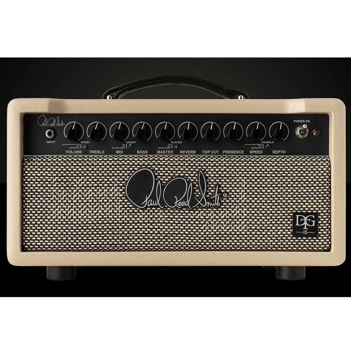 Amplifier PRS DGT 15 David Grissom, Head