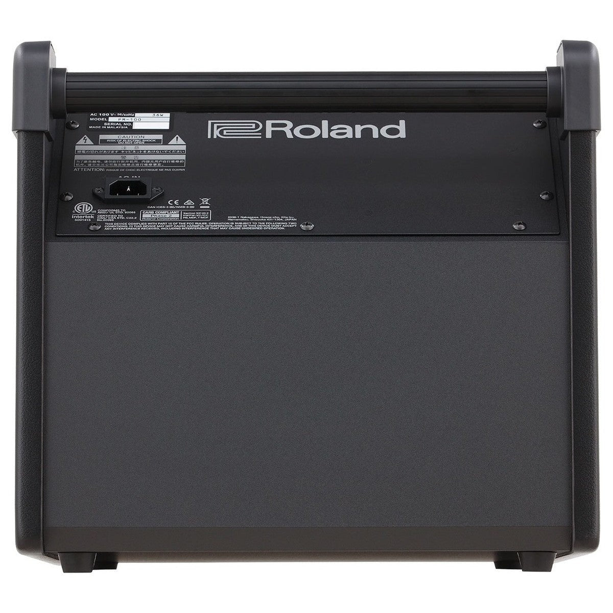 Amplifier Roland PM100, Combo Acoustic