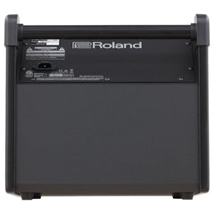 Amplifier Roland PM100, Combo Acoustic