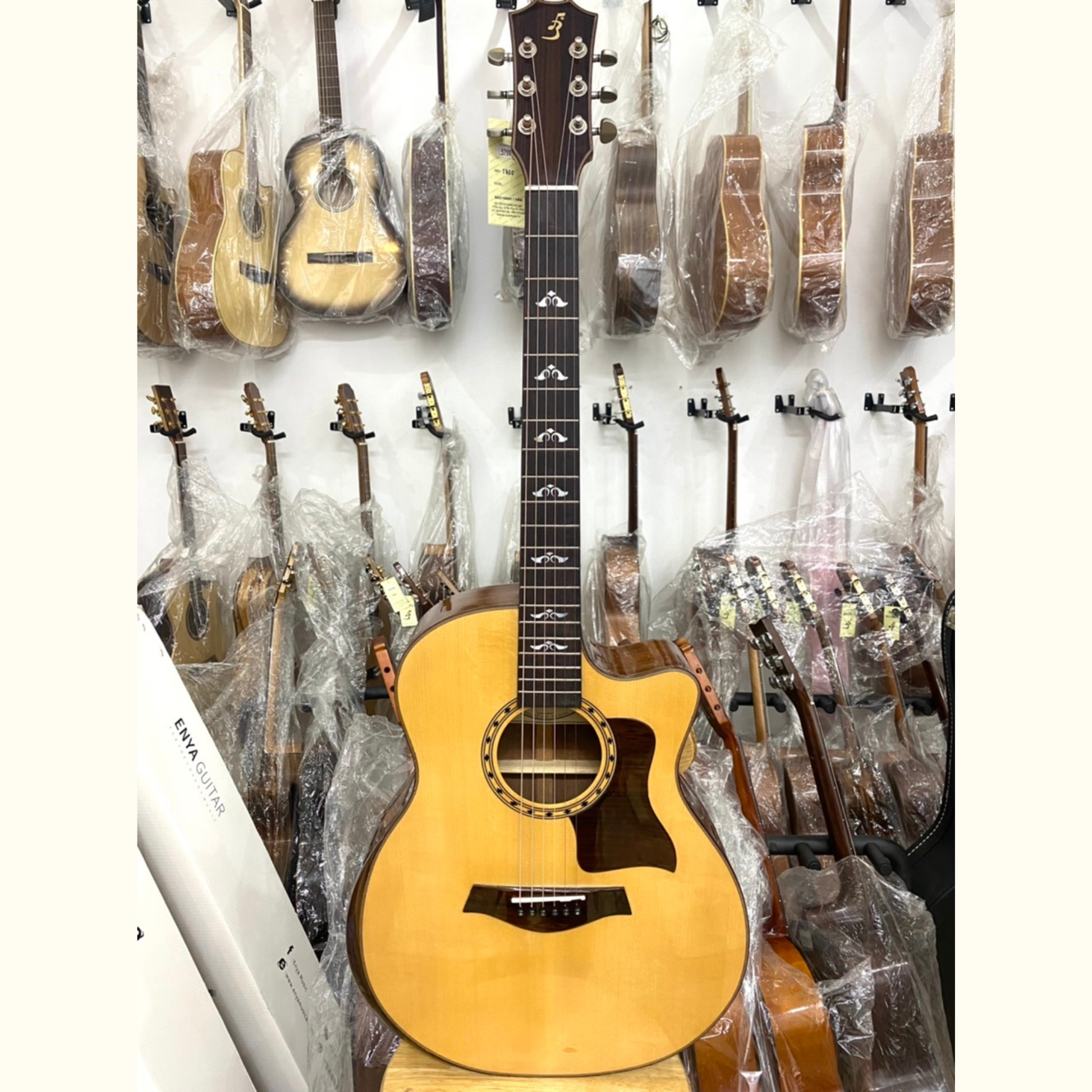 Đàn Guitar Ba Đờn T500 Acoustic