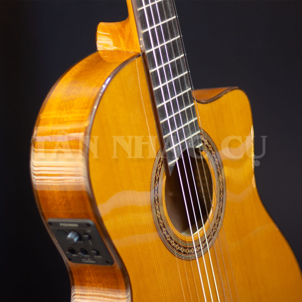 Đàn Guitar Classic Cordoba C5-CET Thinbody