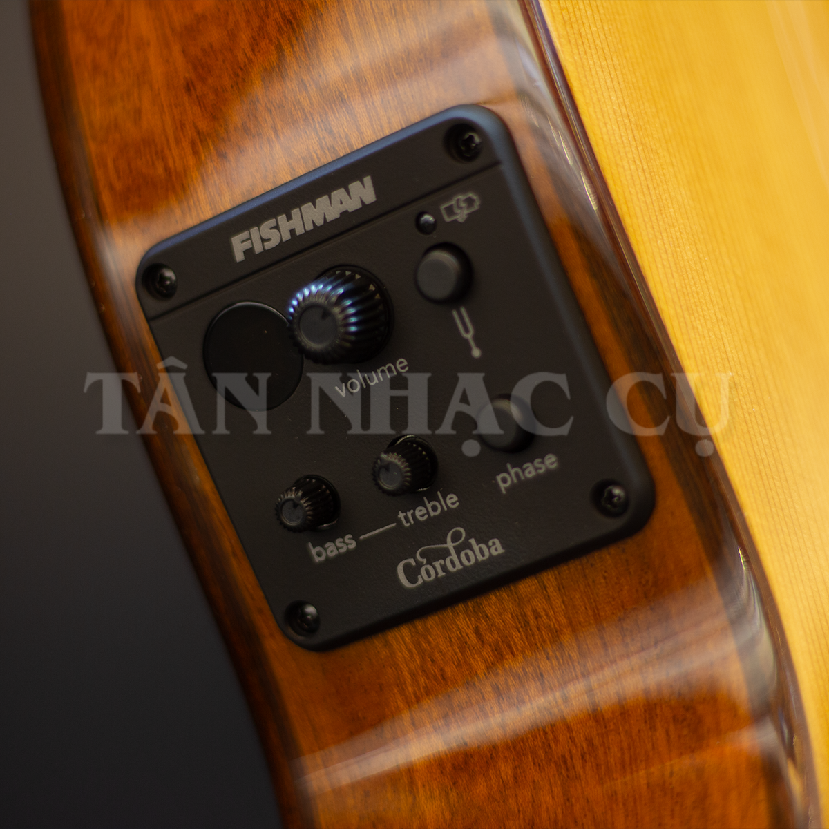 Đàn Guitar Classic Cordoba C5-CET Thinbody