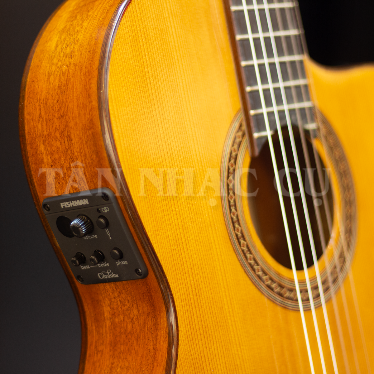 Đàn Guitar Classic Cordoba C5-CET Thinbody