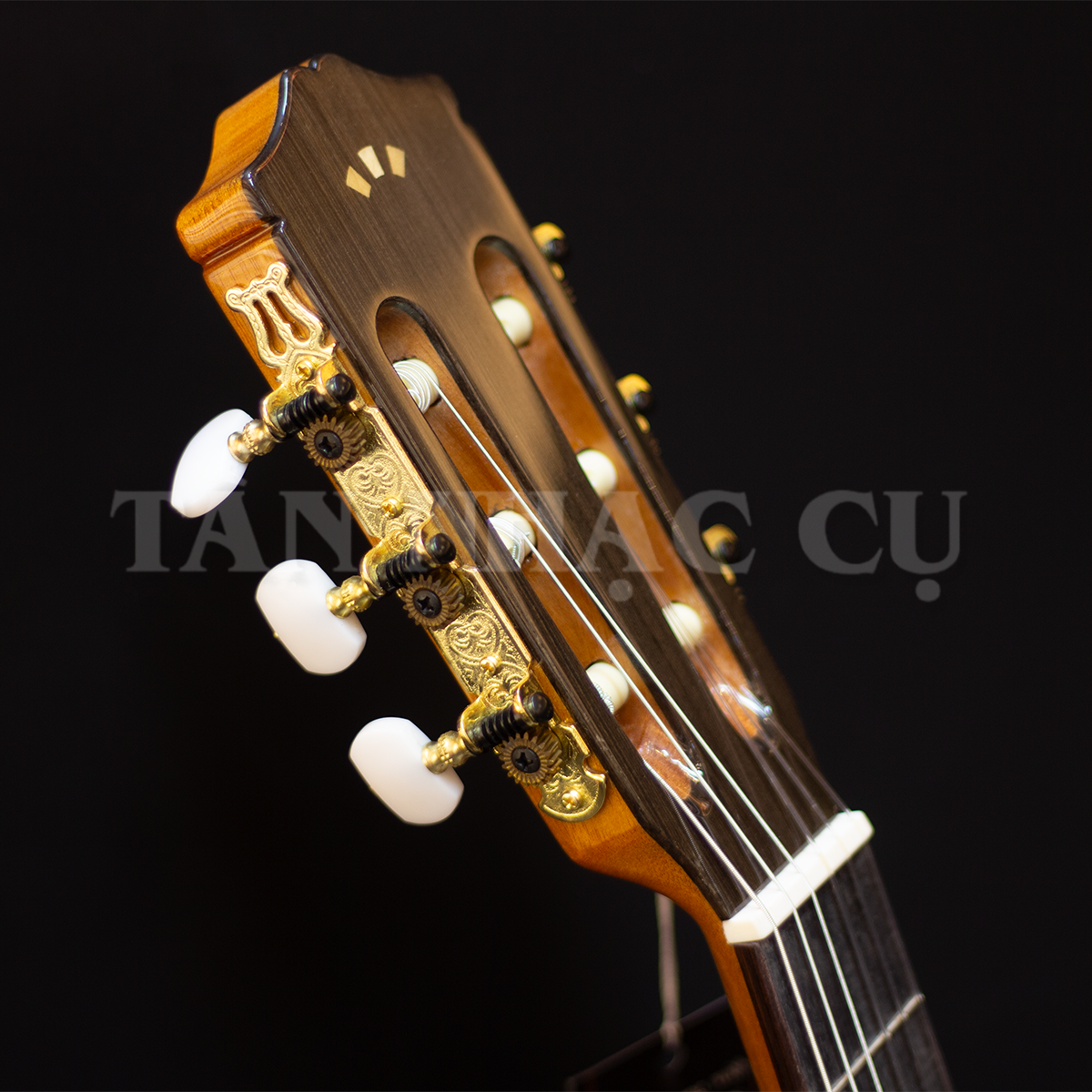 Đàn Guitar Classic Cordoba C5-CET Thinbody