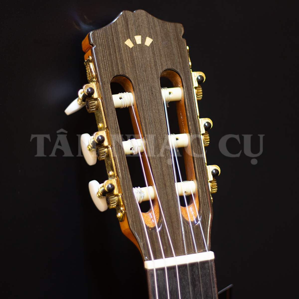 Đàn Guitar Classic Cordoba C5-CET Thinbody