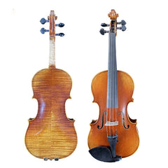 Đàn Violin Carlo Giordan Vân Vẽ