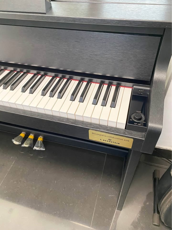 Đàn Piano Điện Casio GP-310, Grand Hybrid