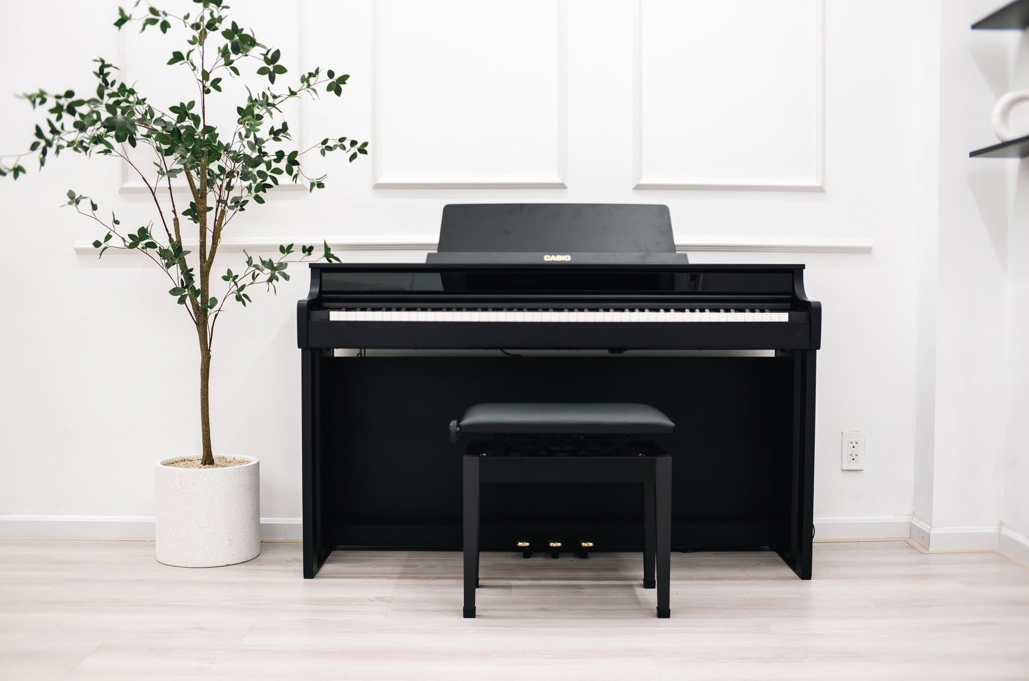 Đàn Piano Điện Casio AP550