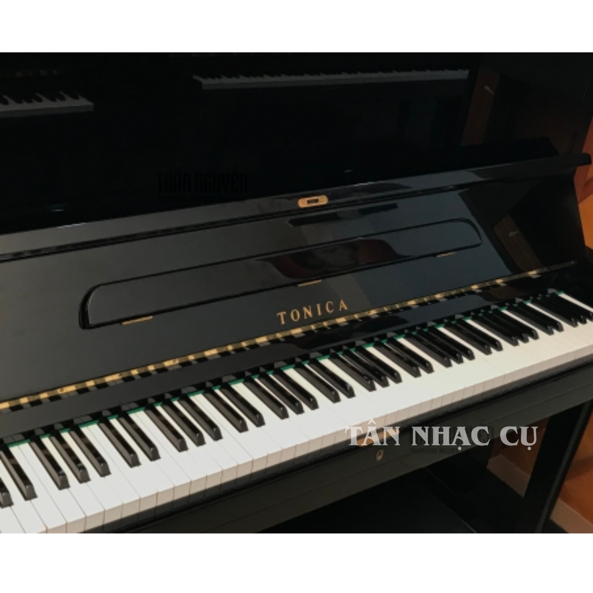 Đàn Piano Cơ TONICA TU250