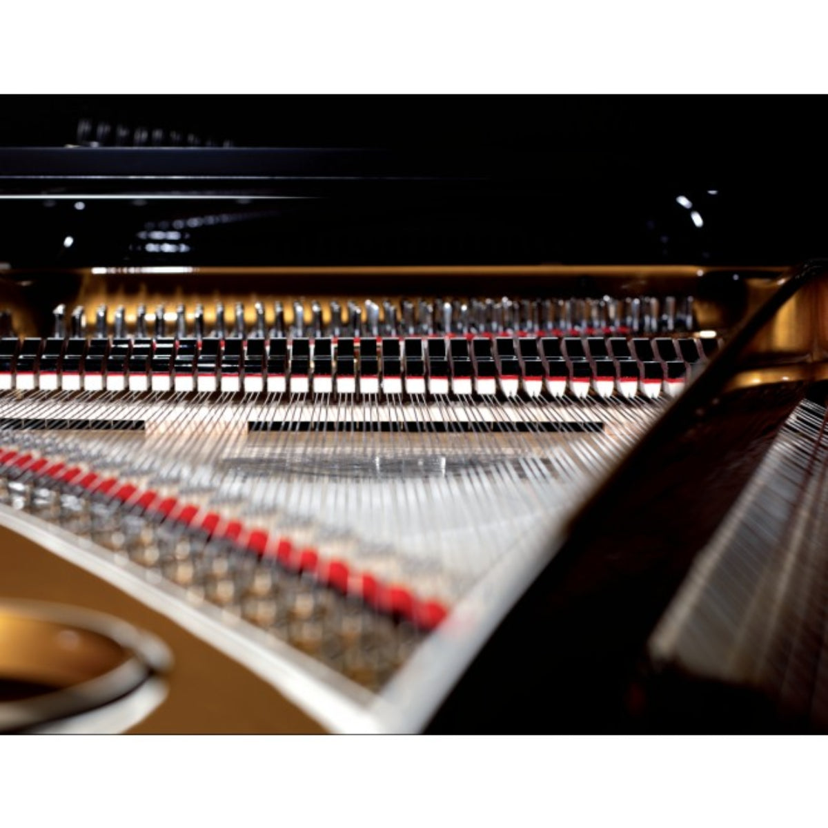Đàn Grand Piano August Förster 170