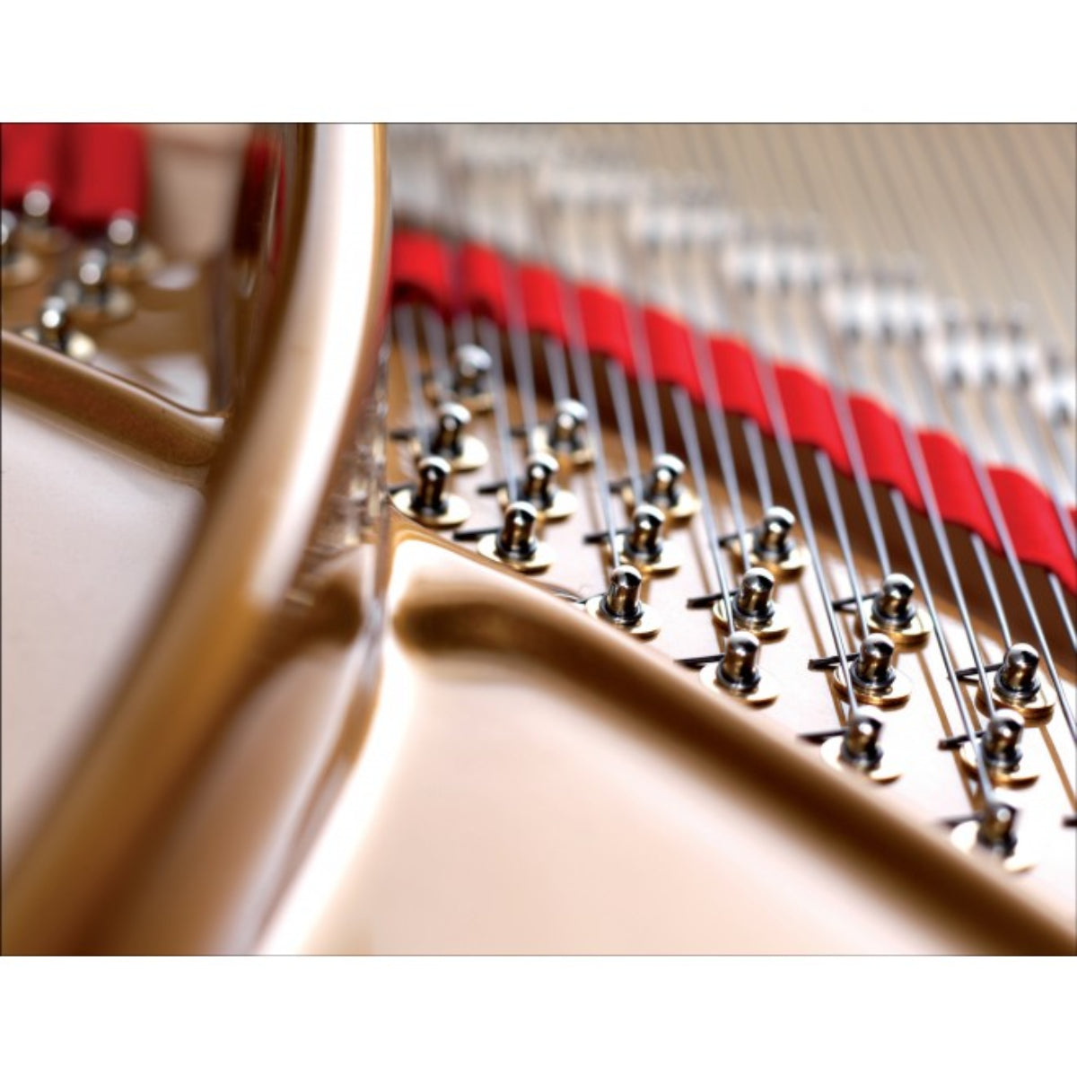 Đàn Grand Piano August Förster 170