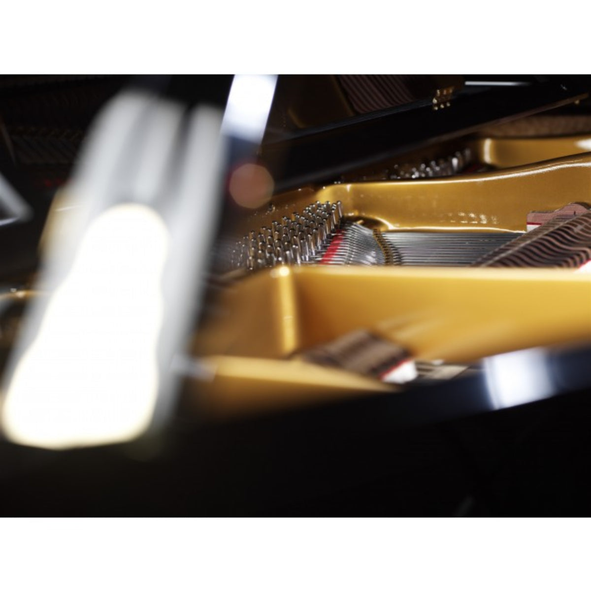 Đàn Grand Piano August Förster 215